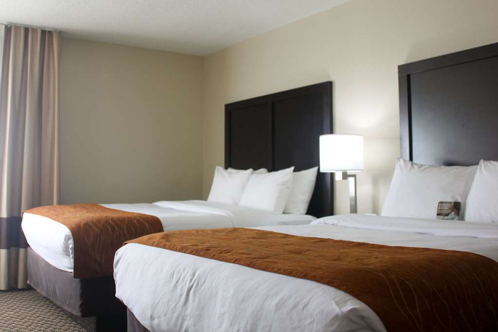 Comfort Inn Matteson - Chicago Rom bilde